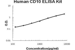 Human CD10/Neprilysin PicoKine ELISA Kit standard curve (MME ELISA Kit)
