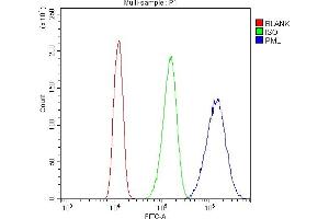Flow Cytometry analysis of A431 cells using anti-PML antibody (ABIN4886699). (PML antibody  (N-Term))