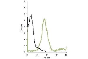 Cell surface detection of mGluR7 in live intact human T cell leukemia (Jurkat) cell line: (black line) Unstained cells + goat-anti-rabbit-PE. (GRM7 antibody  (Extracellular, N-Term))