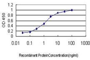 Detection limit for recombinant GST tagged S100A6 is approximately 0. (S100A6 antibody  (AA 1-90))