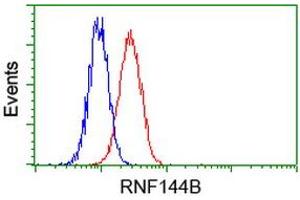 Image no. 3 for anti-Ring Finger Protein 144B (RNF144B) (AA 1-256) antibody (ABIN1490644) (RNF144B antibody  (AA 1-256))