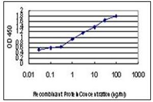 ELISA image for anti-Homeodomain Interacting Protein Kinase 2 (HIPK2) antibody (ABIN781914) (HIPK2 antibody)
