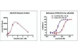 Recombinant JMJD2D / KDM4D activity using AlphaLISA. (JMJD2D Protein (DYKDDDDK Tag))