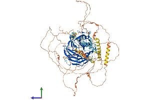 AlphaFold protein structure predicition of Human Recombinant DCAF5 Protein, UniprotID Q96JK2