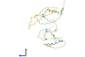 AlphaFold protein structure predicition of Human Recombinant STPG1 Protein, UniprotID Q5TH74 (STPG1 Protein (AA 1-334) (His tag))