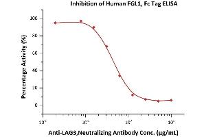 Serial dilutions of A, Neutralizing Antibody were added into Human FGL1, Fc Tag (ABIN6923182,ABIN6938833): Biotinylated Human LAG-3, Mouse IgG2a Fc,Avitag (ABIN5954960,ABIN6253611) binding reactions. (FGL1 Protein (AA 23-312) (Fc Tag))