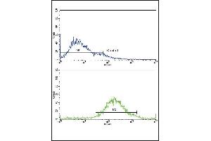 Flow cytometric analysis of jurkat cells using IGFBP2 Antibody (C-term)(bottom histogram) compared to a negative control cell (top histogram).