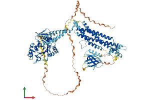 AlphaFold protein structure predicition of Human Recombinant DNM2 Protein, UniprotID P50570 (DNM2 Protein (AA 1-870) (His tag))