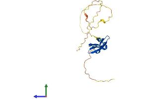 AlphaFold protein structure predicition of Human Recombinant HSPB8 Protein, UniprotID Q9UJY1 (HSPB8 Protein (AA 1-196) (His tag))