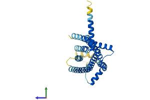 AlphaFold protein structure predicition of Human Recombinant TAS2R7 Protein, UniprotID Q9NYW3
