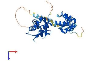 TRADD Protein (AA 1-312) (His tag)