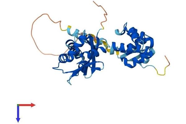 TRADD Protein (AA 1-312) (His tag)