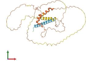 AlphaFold protein structure predicition of Human Recombinant FAM153A Protein, UniprotID Q9UHL3 (FAM153A Protein (AA 1-310) (His tag))