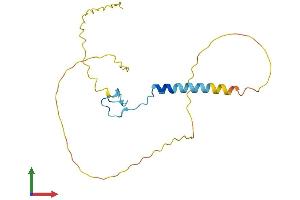 AlphaFold protein structure predicition of Human Recombinant ZCCHC10 Protein, UniprotID Q8TBK6
