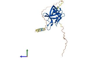 Protein Structure (PS) image for Fibroblast Growth Factor 12 (FGF12) (AA 1-243) protein (His tag) (ABIN7547568)