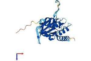 Apolipoprotein B mRNA Editing Enzyme, Catalytic Polypeptide-Like 3A (APOBEC3A) (AA 1-199) protein (His tag)