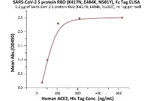 Immobilized SARS-CoV-2 S protein RBD (K417N, E484K, N501Y), Fc Tag (ABIN6992400) at 2 μg/mL (100 μL/well) can bind Human ACE2, His Tag (ABIN6952618,ABIN6952641) with a linear range of 39-156 ng/mL (QC tested). (SARS-CoV-2 Spike Protein (B.1.351 - beta, RBD) (Fc Tag))
