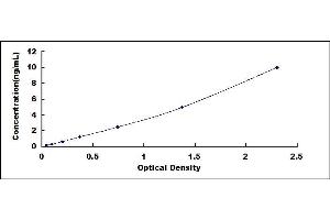 Typical standard curve (Lamin B1 ELISA Kit)