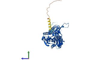 Protein Structure (PS) image for Seryl-tRNA Synthetase (SARS) (AA 1-512) protein (His tag) (ABIN7563020)