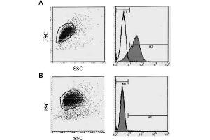 Flow Cytometry (FACS) image for anti-Syndecan 1 (SDC1) antibody (FITC) (ABIN487502) (Syndecan 1 antibody  (FITC))