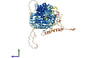 AlphaFold protein structure predicition of Human Recombinant URGCP Protein, UniprotID Q8TCY9 (URGCP Protein (AA 1-931) (His tag))