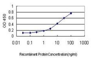 Detection limit for recombinant GST tagged NAAA is approximately 0. (NAAA antibody  (AA 36-104))