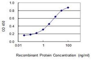 Detection limit for recombinant GST tagged KIAA0226 is 0. (Rubicon antibody  (AA 1-375))