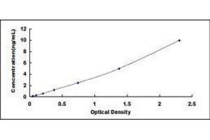 Integrin beta-6 (ITGB6) ELISA Kit