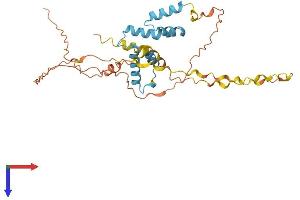 AlphaFold protein structure predicition of Human Recombinant SCAND2P Protein, UniprotID Q9GZW5 (SCAND2 Protein (AA 1-306) (His tag))