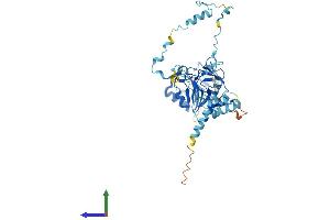 AlphaFold protein structure predicition of Human Recombinant IFT52 Protein, UniprotID Q9Y366