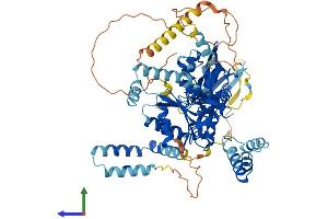 Protein Structure (PS) image for Membrane Protein, Palmitoylated 5 (MAGUK P55 Subfamily Member 5) (MPP5) (AA 1-675) protein (His tag) (ABIN7561670)