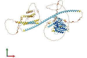 AlphaFold protein structure predicition of Human Recombinant KIFC2 Protein, UniprotID Q96AC6