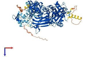 Phospholipase C delta 3 Protein (PLCd3) (AA 1-789) (His tag)