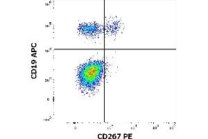 Flow cytometry multicolor surface staining of human lymphocytes stained using anti-human CD267 (1A1) PE antibody (10 μL reagent / 100 μL of peripheral whole blood) and anti-human CD19 (LT19) APC antibody (10 μL reagent / 100 μL of peripheral whole blood). (TACI antibody  (PE))