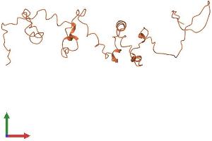 AlphaFold protein structure predicition of Human Recombinant KRTAP4-6 Protein, UniprotID Q9BYQ5
