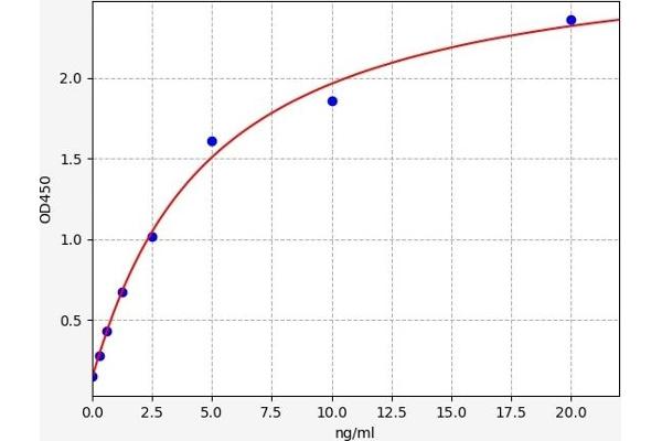 TM4SF20 ELISA Kit