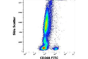 Flow cytometry surface staining pattern of human peripheral whole blood stained using anti-human CD268 (11C1) FITC antibody (10 μL reagent / 100 μL of peripheral whole blood). (TNFRSF13C antibody  (FITC))