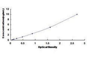 ATP-Binding Cassette, Sub-Family C (CFTR/MRP), Member 2 (ABCC2) ELISA Kit