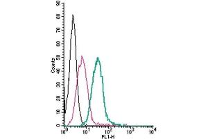 Cell surface detection of GPR35 by direct flow cytometry in live intact mouse J774 macrophage cells: (black line) Cells. (GPR35 antibody  (Extracellular) (FITC))