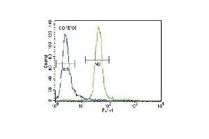 MUSK Antibody (N-term) (ABIN392019 and ABIN2841795) flow cytometric analysis of CEM cells (right histogram) compared to a negative control cell (left histogram). (MUSK antibody  (N-Term))