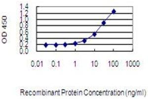 Detection limit for recombinant GST tagged MMP21 is 0. (MMP21 antibody  (AA 374-481))