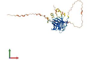 Protein Structure (PS) image for Phospholipid Scramblase 4 (PLSCR4) (AA 1-329) protein (His tag) (ABIN7550765)
