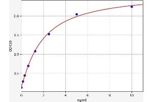 RORC ELISA Kit