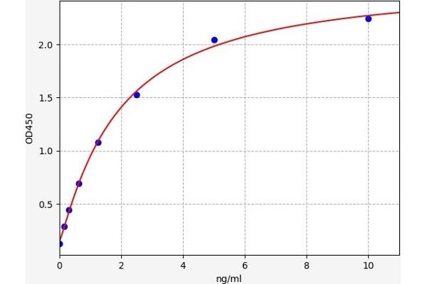 RORC ELISA Kit