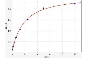 Typical standard curve (RORC ELISA Kit)