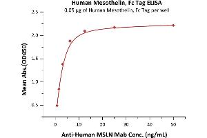 Immobilized Human Mesothelin (296-580), Fc Tag (ABIN2181519,ABIN2181518) at 0. (Mesothelin Protein (MSLN) (AA 296-580) (Fc Tag))