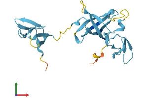 Protein Structure (PS) image for Exosome Component 1 (EXOSC1) (AA 1-195) protein (His tag) (ABIN7553862)