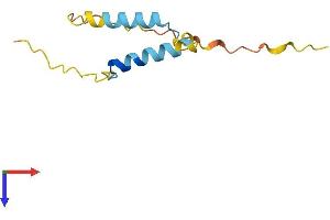 AlphaFold protein structure predicition of Human Recombinant C9orf153 Protein, UniprotID Q5TBE3
