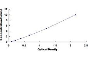 GRB2 ELISA Kit