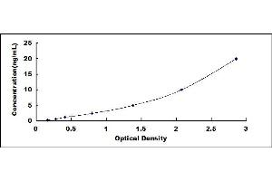 Typical standard curve (GCLC ELISA Kit)